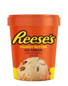 REESES TUB PEANUT BUTTER CUPS (450ML)