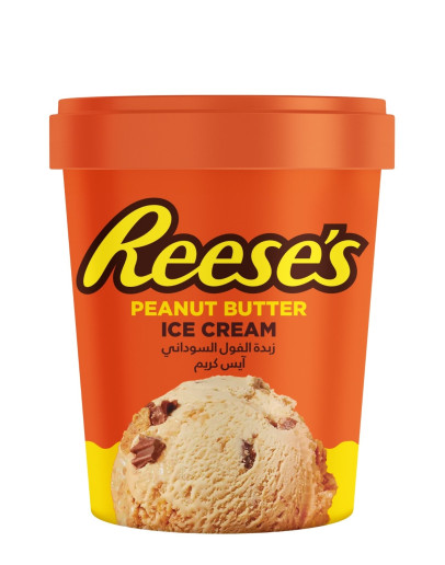 REESES TUB PEANUT BUTTER CUPS (450ML)
