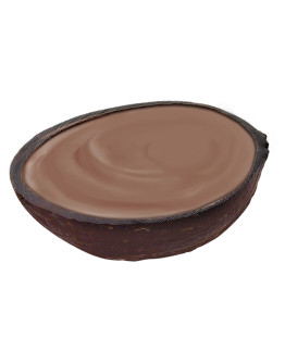 ISLAND WAY CHOCOLATE COCONUT 3 PACK (435GMS)