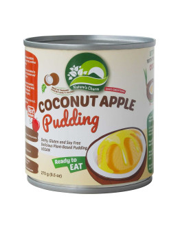 NATURE'S CHARM COCONUT APPLE PUDDING (270GMS) 
